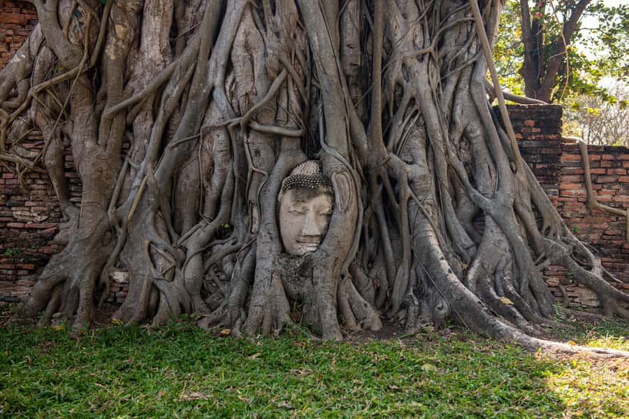 Bangkok: Ayutthaya, Railway & Floating Markets Full-Day Tour - Lunch Break (What’s Included and What Isn’t)