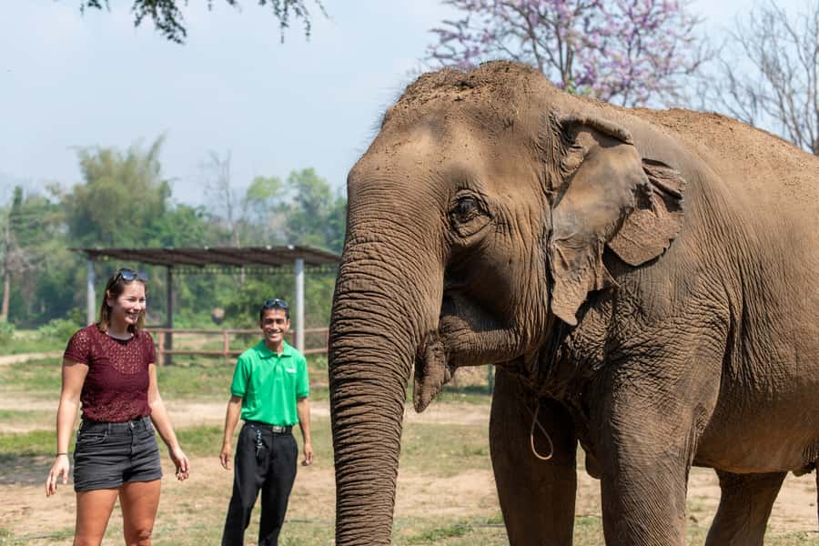 Bangkok: Elephant Sanctuary & Erawan Waterfall Tour - The final decision: should you book this elephant + Erawan day?