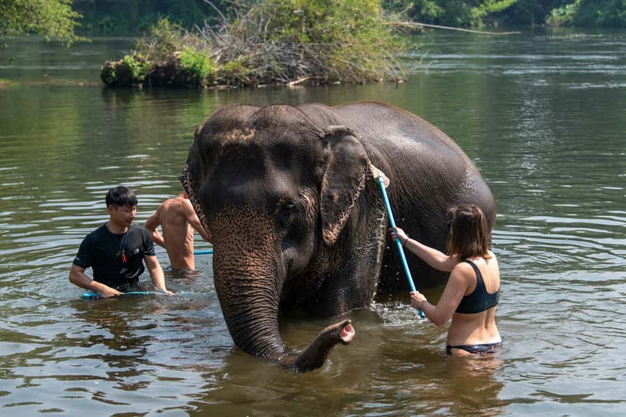 Bangkok: Elephant Sanctuary & Erawan Waterfall Tour - Leaving Bangkok early: the ride, the rhythm, and the driver role