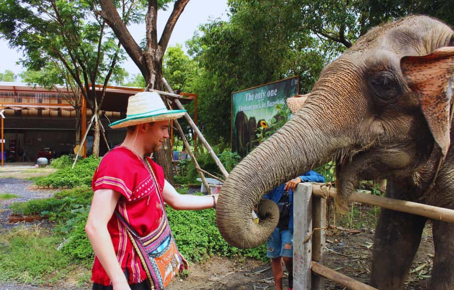 Bangkok: Ethical Elephant Care Half-Day with Transfers - Getting there from Bangkok: transfers that keep the day sane
