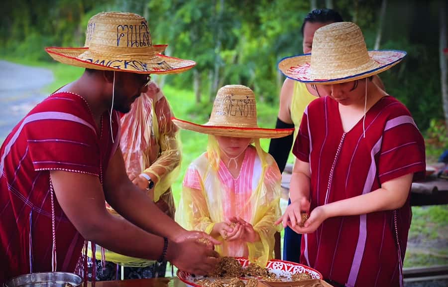 Bangkok Highlights: Ethical Elephant Care and Buffet Lunch - Ethical Elephant Care 101: Feeding That’s Meant to Help