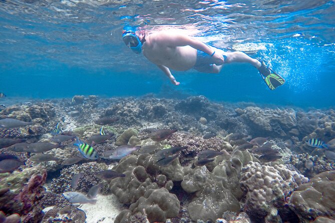 Best of Phi Phi Islands Snorkeling Tour from Phuket - From Phuket to Bamboo Island: the morning speedboat rhythm