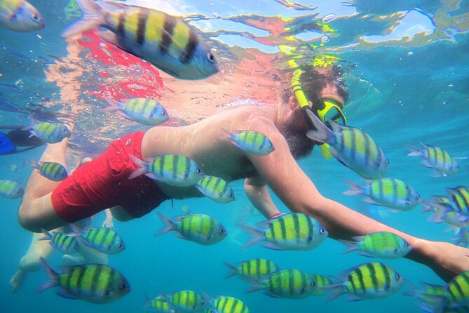 Best of Phi Phi Islands Snorkeling Tour from Phuket - Phi Phi Don lunch break and why it matters