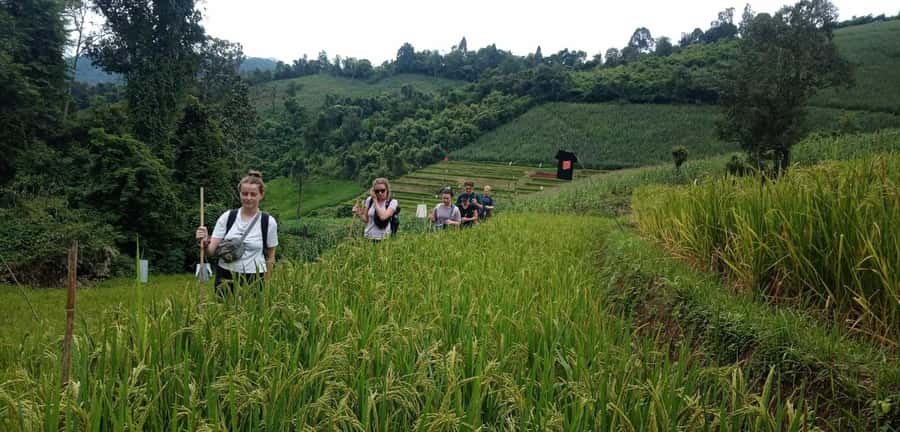 Chiang Mai: 2-Day Jungle Trek with Elephant Farm & Raft Ride - Getting off the main tourist track around Chiang Mai