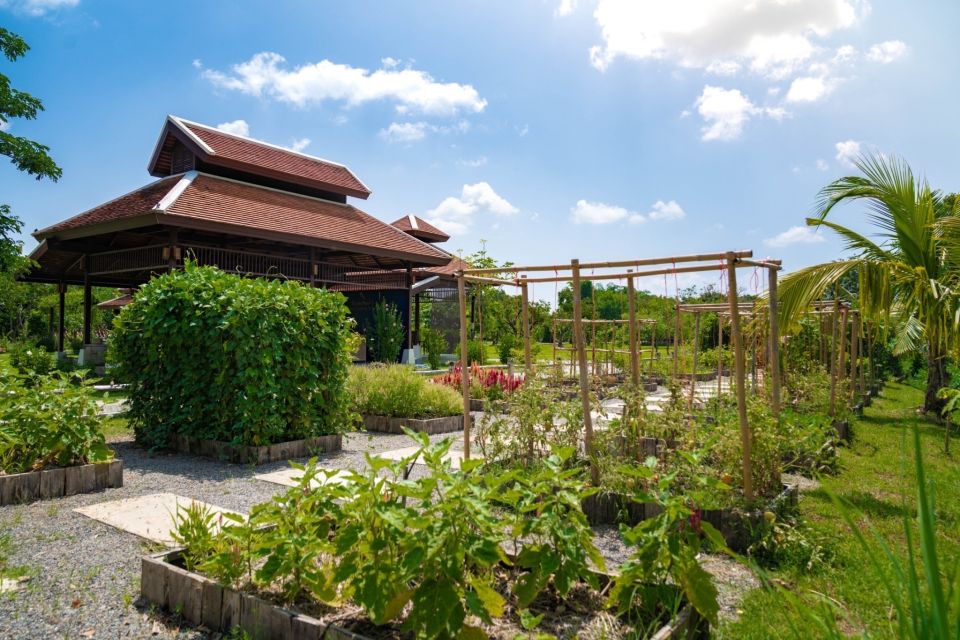 Chiang Mai: Authentic Cooking Class with Market & Farm Visit - Grandma’s organic farm: chickens, eggs, mushrooms, and real herb time