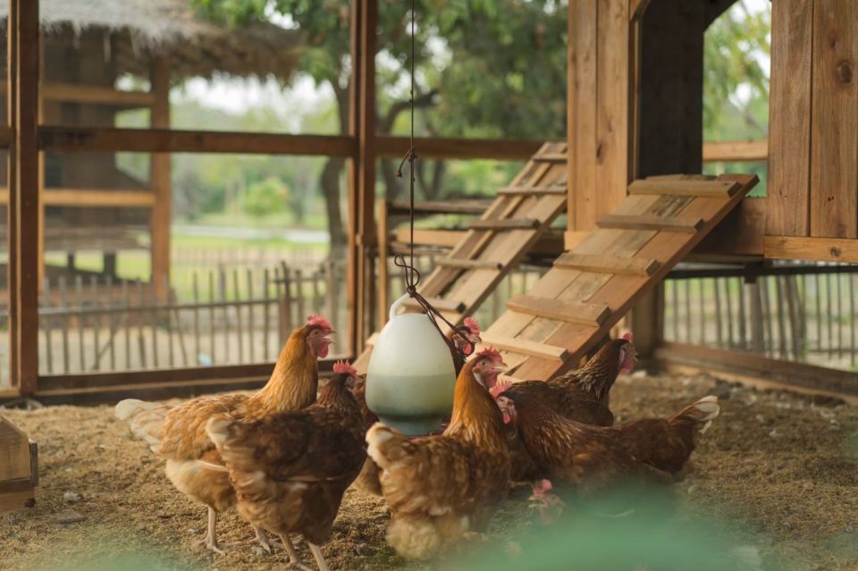 Chiang Mai: Authentic Cooking Class with Market & Farm Visit - Allergies, dietary preferences, and getting your meal to match your needs