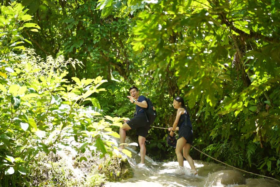 Chiang Mai: Bua Thong Sticky Waterfall and Huge Cave Tour - Key things I’d circle before you go