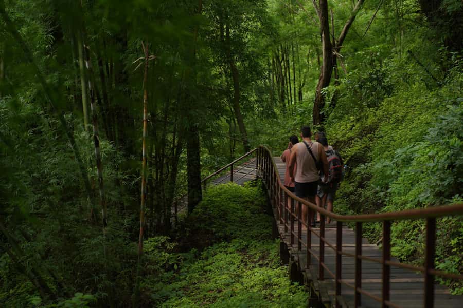Chiang Mai: Bua Thong Sticky Waterfall and Huge Cave Tour - Lunch, Seasonal Fruit, and the Small Comforts That Matter