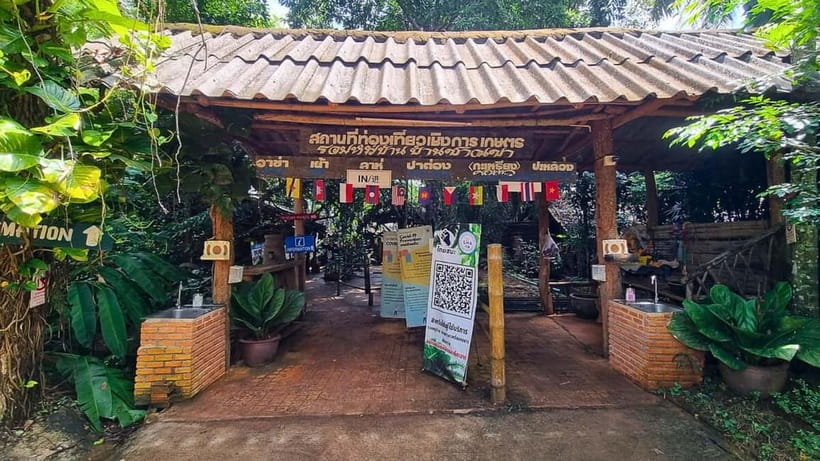 Chiang Mai: Chiang Rai Temples, Golden Triangle & Boat Tour - Long Neck Karen Village: Option A vs Option B (and how to choose)
