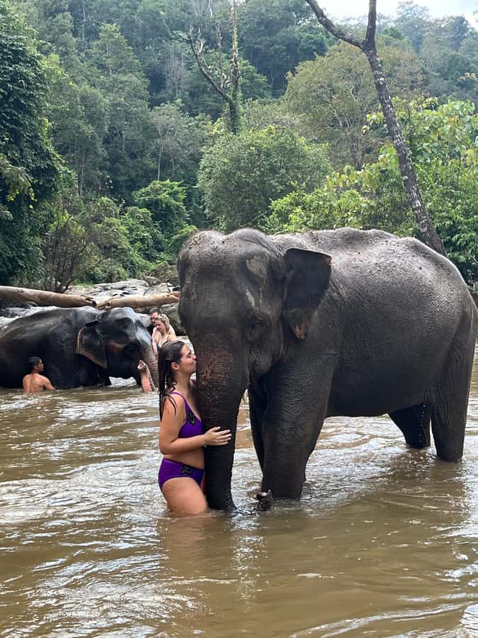 Chiang Mai: Doi Inthanon and Elephant Sanctuary Tour - Twin Royal Pagodas: viewpoints with gardens and wide angles