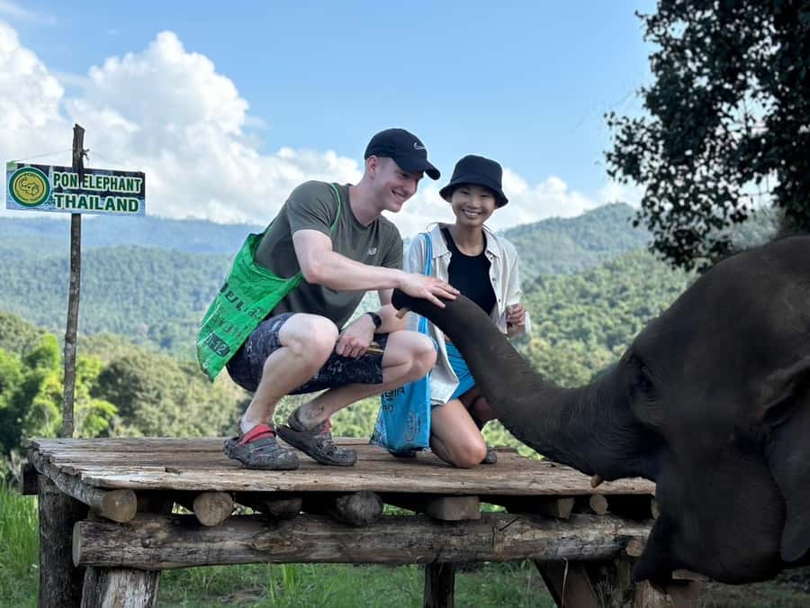 Chiang Mai: Doi Inthanon and Elephant Sanctuary Tour - Lunch with local flavors and actual diet awareness