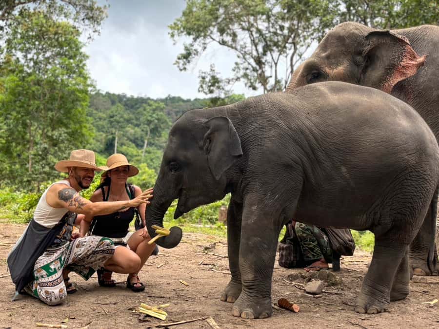 Chiang Mai: Doi Inthanon and Elephant Sanctuary Tour - The Karen village-style start at the elephant sanctuary