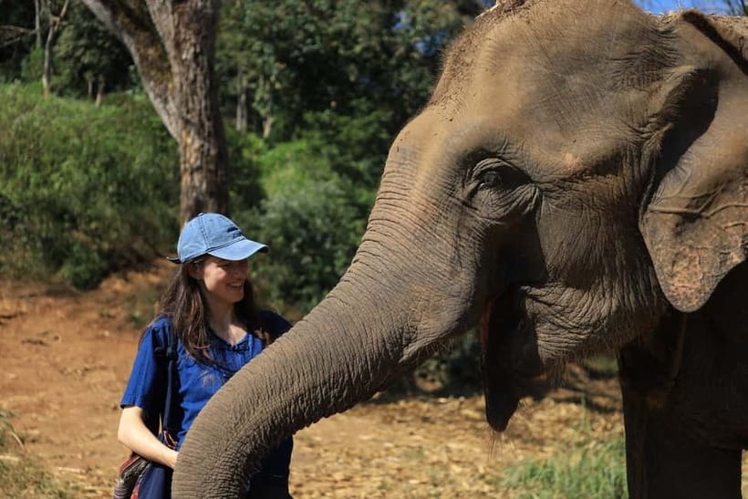 Chiang Mai: Doi Inthanon Hiking & Elephant Sanctuary Program - The van schedule: why this is a full-day plan, not a quick trip