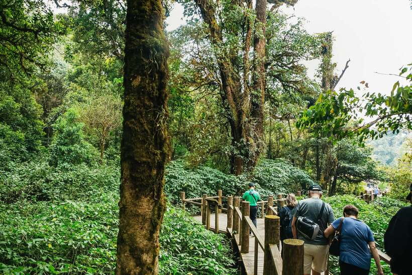 Chiang Mai: Doi Inthanon National Park Eco-Friendly Tour - Hitting the Road: Pickup Options and How the Timing Feels