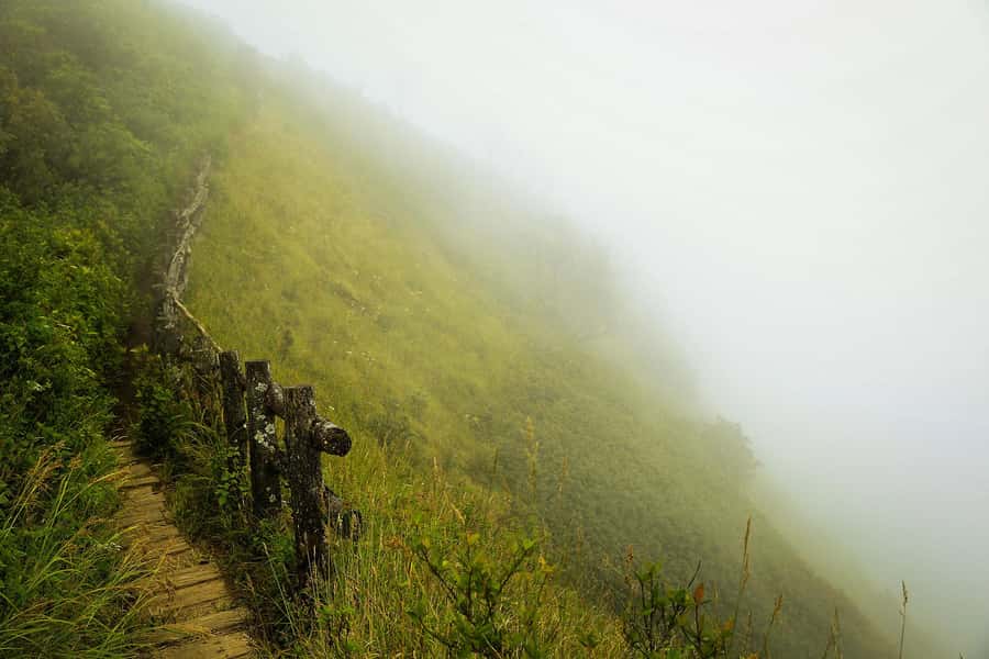 Chiang Mai: Doi Inthanon National Park, Waterfall & Lunch - The Roof of Thailand in one day: what you’re actually signing up for