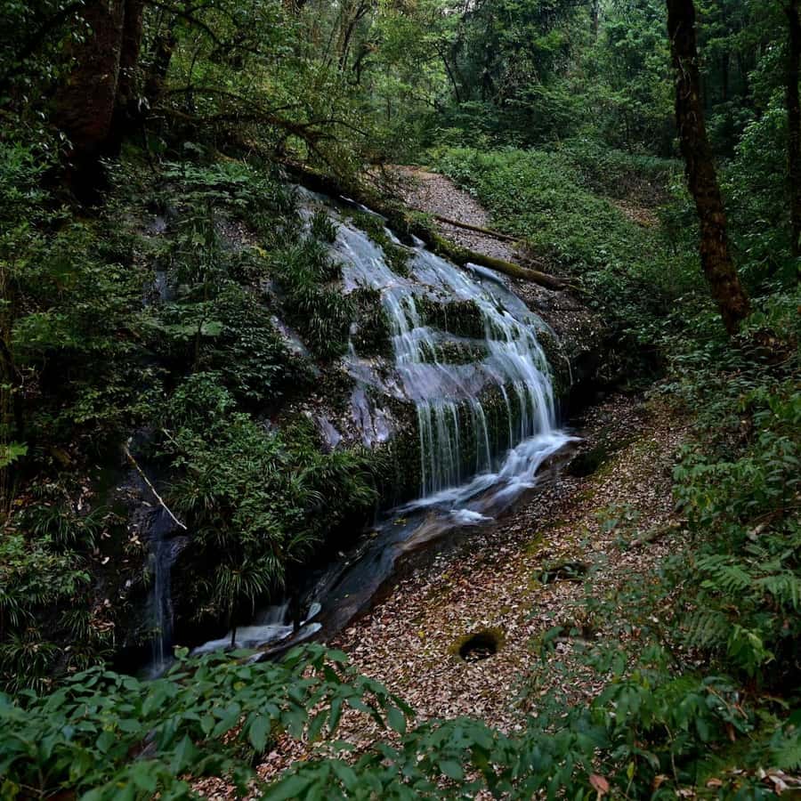 Chiang Mai: Doi Inthanon National Park, Waterfall & Lunch - Price and value: what $37 really buys you (and what might be extra)