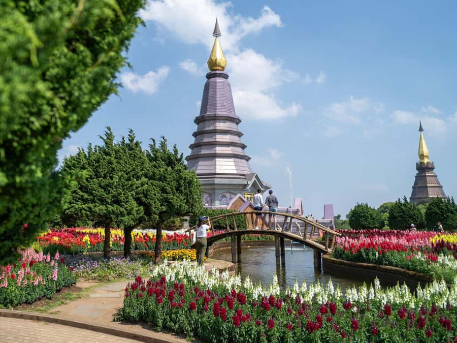 Chiang Mai: Doi Inthanon National Park with Ticket & Lunch - Key Highlights You’ll Actually Care About