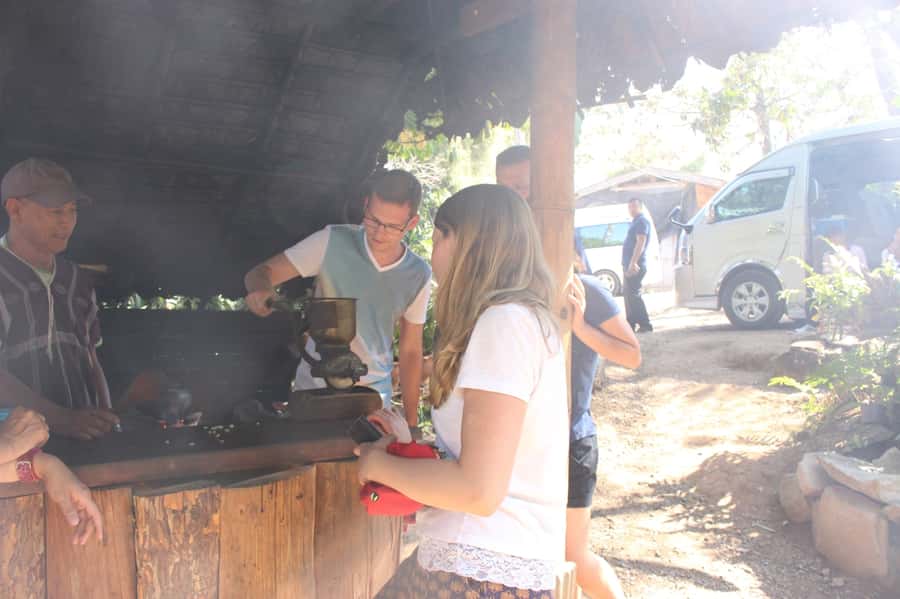 Chiang Mai: Doi Inthanon National Park with Ticket & Lunch - Comfort, Walking, and Who This Tour Fits Best