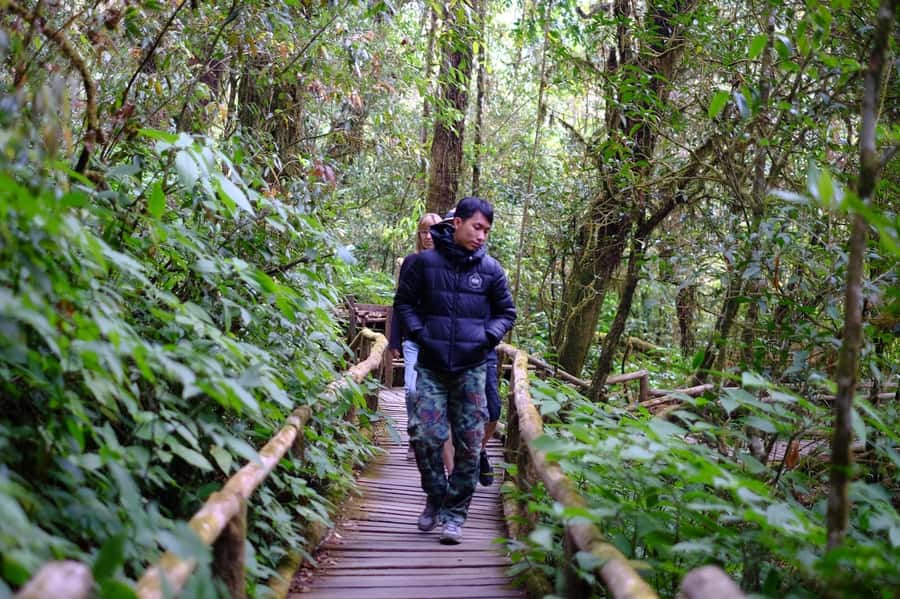 Chiang Mai: Doi Inthanon National Park with Ticket & Lunch - Lunch at Inthanon Royal Project Restaurant: A Solid Reset Meal