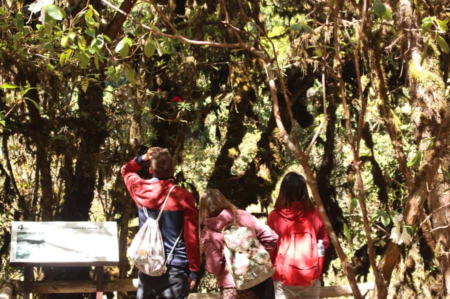 Chiang Mai: Doi Inthanon National Park with Ticket & Lunch - Mae Klang Luang Karen Village: Coffee, Calm, and Daily Life