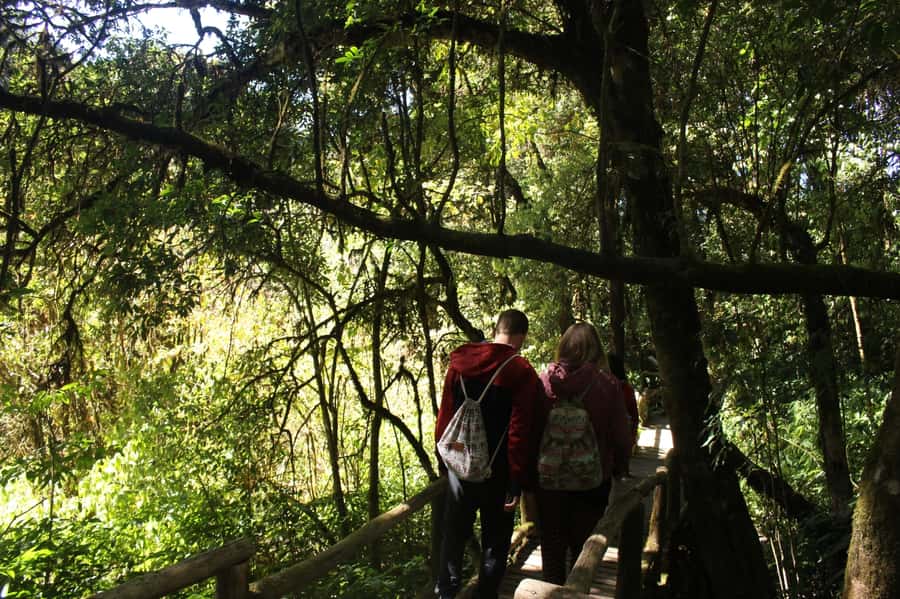 Chiang Mai: Doi Inthanon National Park with Ticket & Lunch - Price and Value: What $80 Includes (and Why It Matters)