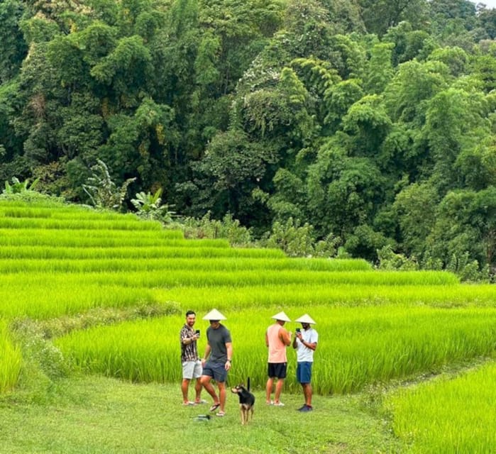 Chiang Mai: Doi Inthanon Park and Pha Dok Siew Trail Trek - Who This Tour Fits Best (and Who Might Prefer Something Else)