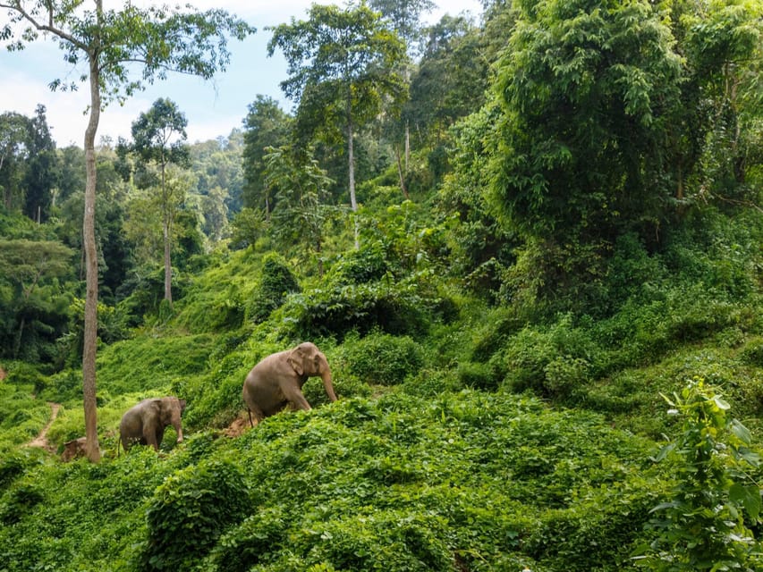 Chiang Mai: Doi Inthanon Park and Pha Dok Siew Trail Trek - Getting Ready: A 1-Day Doi Inthanon Hike That’s More Than a Sightseeing Loop