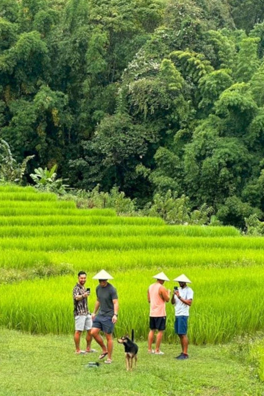 Chiang Mai: Doi Inthanon Park and Pha Dok Siew Trail Trek - Thailand’s Highest Peak and the Monastery Area: Where Quick Stops Can Still Pay Off