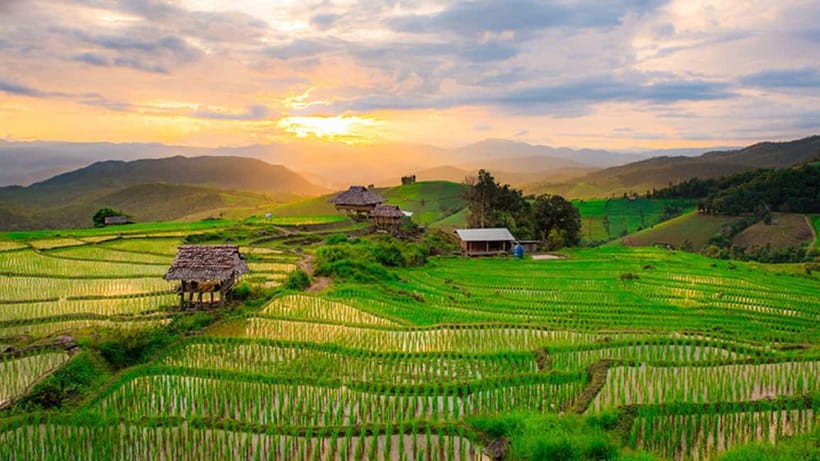 Chiang Mai: Doi Inthanon Trip with Pha Dok Siew Guided Trek - Guides can change everything: from Toey to Chan to Mr. Bobo