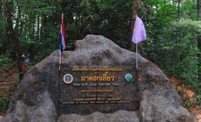 Chiang Mai: Doi Inthanon Trip with Pha Dok Siew Guided Trek - Royal pagodas, big views, and the day’s main waterfall energy
