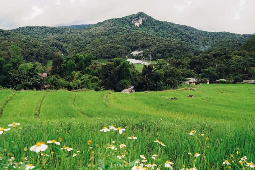 Chiang Mai: Doi Inthanon Trip with Pha Dok Siew Guided Trek - Thailand’s highest point: not always a postcard, still worth the visit