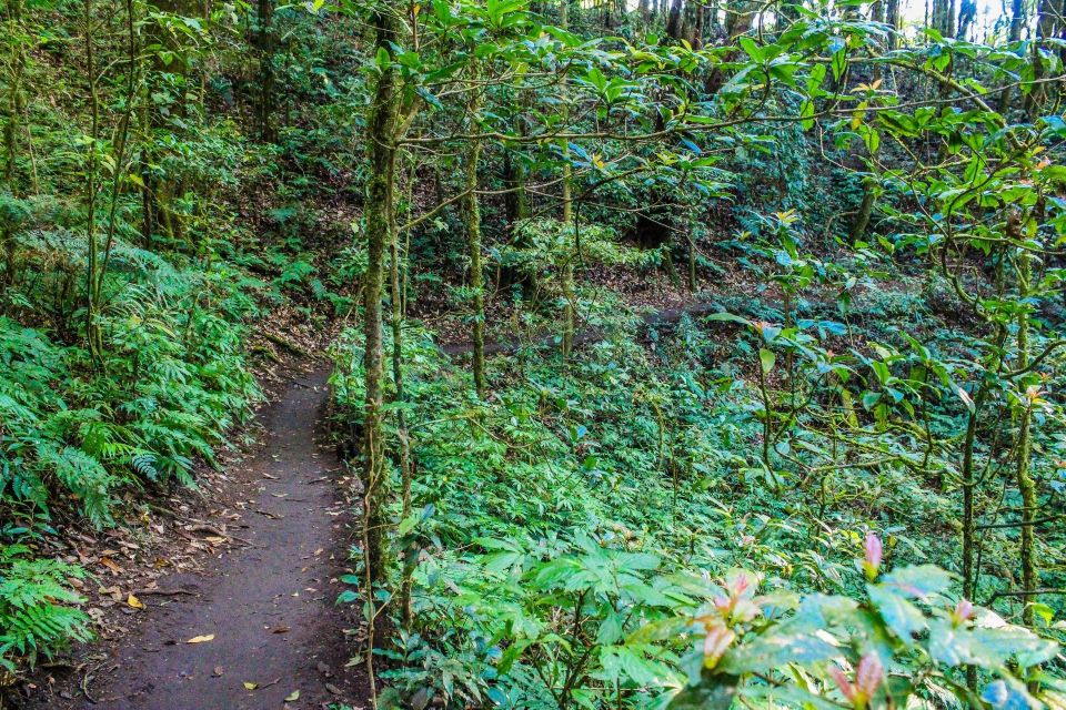 Chiang Mai: Doi Inthanon, Waterfalls, & Tribal Villages Tour - Lunch on the road: set menu, real-world expectations