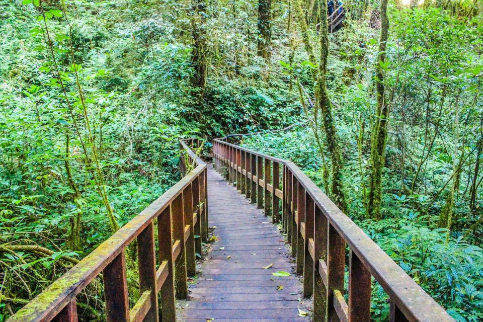 Chiang Mai: Doi Inthanon, Waterfalls, & Tribal Villages Tour - Comfort and transport: the tradeoff for seeing so much