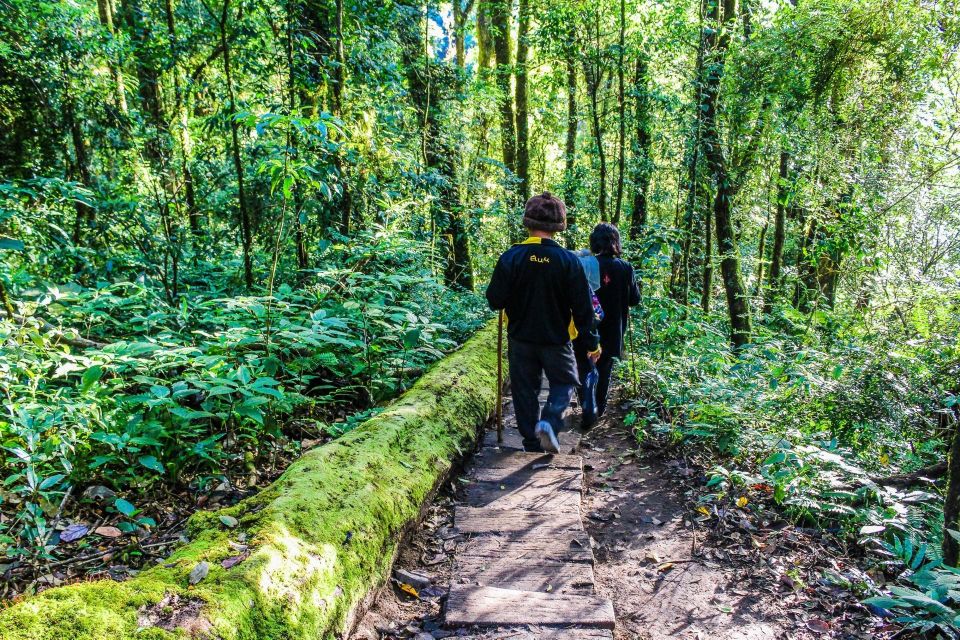 Chiang Mai: Doi Inthanon, Waterfalls, & Tribal Villages Tour - Price and the real cost: what $36 does and does not include