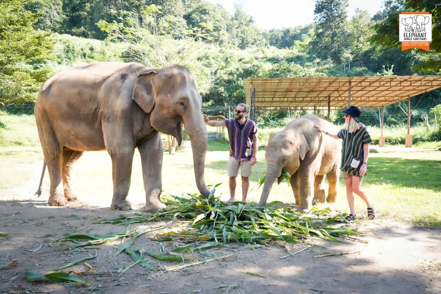 Chiang Mai: Elephant Jungle Sanctuary with Lunch & Transfer - River bath: water shoes, brushing, and the best kind of chaos