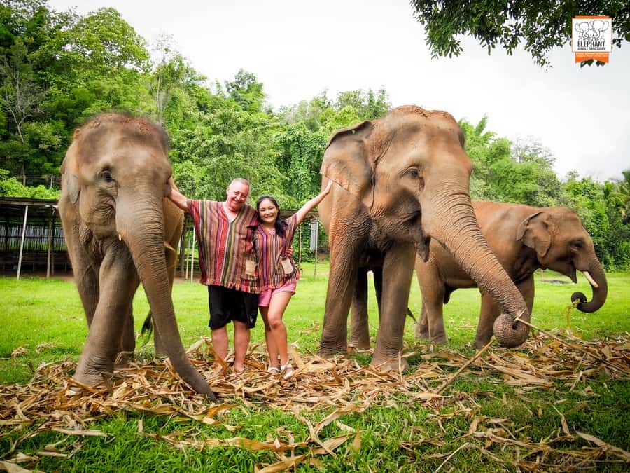 Chiang Mai: Elephant Jungle Sanctuary with Lunch & Transfer - Price and value: what you’re paying for in a 3–6 hour day