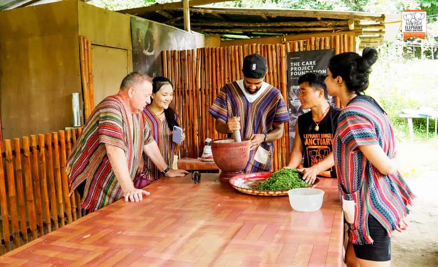 Chiang Mai: Elephant Jungle Sanctuary with Lunch & Transfer - My booking advice: when to go and what to pack