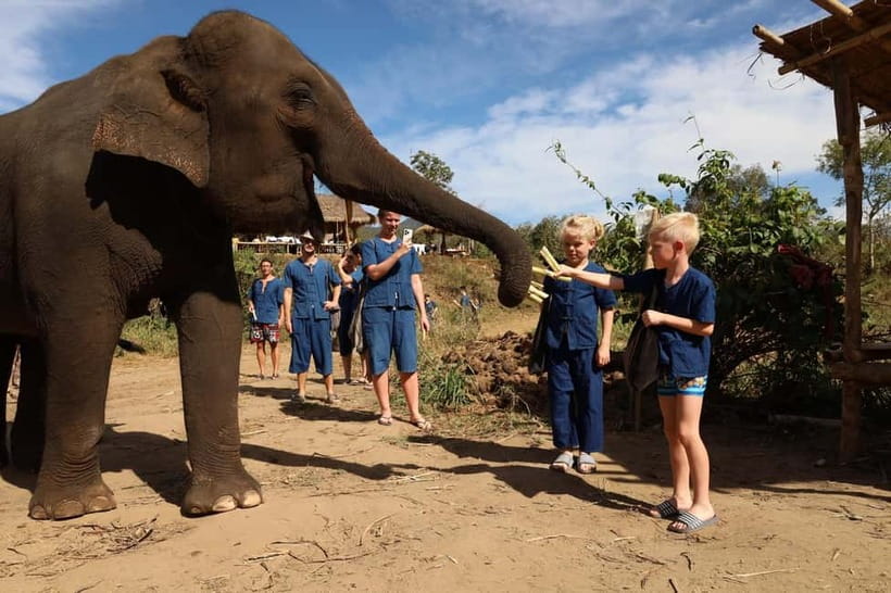 Chiang Mai: Elephant Sanctuary Bamboo Raft & Padthai Cooking - Elephant sanctuary ethics: what you do (and what you don’t)