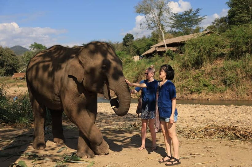 Chiang Mai: Elephant Sanctuary Bamboo Raft & Padthai Cooking - Timing, transport, and group size: make the schedule work for you