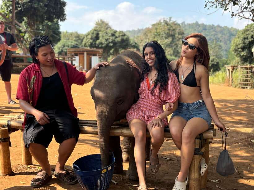 Chiang Mai: Elephant Sanctuary Feeding Program Half-Day Tour - Getting to Pon Elephant Thailand: hills, forests, and real-country Chiang Mai