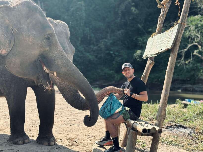 Chiang Mai: Elephant Sanctuary Feeding Program Half-Day Tour - Who should book this elephant feeding half-day