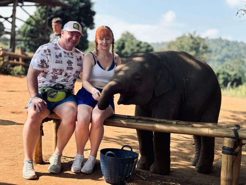 Chiang Mai: Elephant Sanctuary Feeding Program Half-Day Tour - The welcome and briefing: how to act around elephants safely