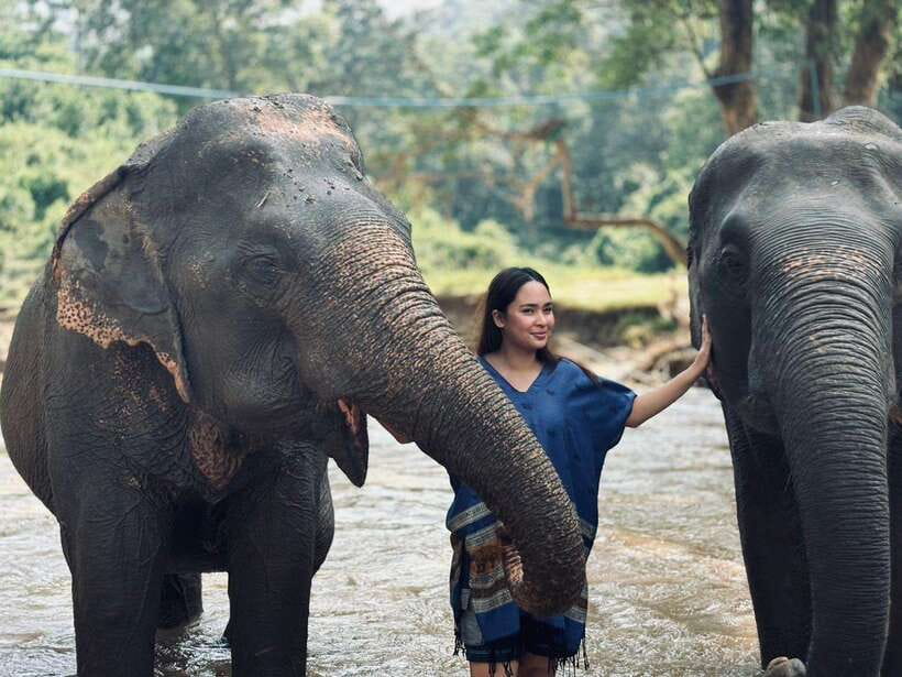 Chiang Mai: Elephant Sanctuary, Long Neck & Sticky Waterfall - Key highlights worth your attention
