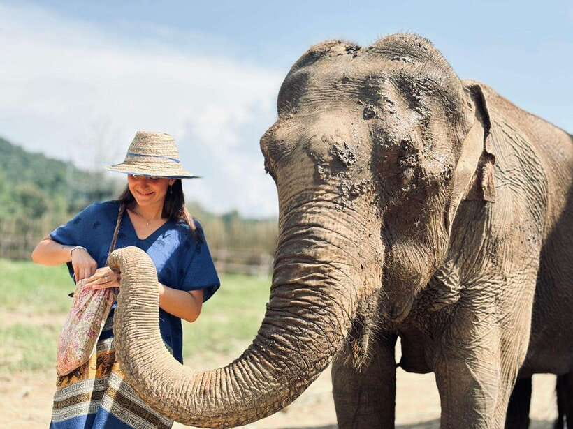 Chiang Mai: Elephant Sanctuary, Long Neck & Sticky Waterfall - Price and value: is $63 a fair deal for this 9-hour day?