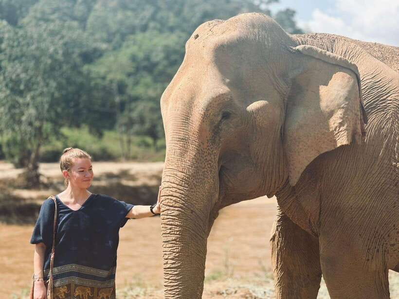 Chiang Mai: Elephant Sanctuary, Long Neck & Sticky Waterfall - What kind of Chiang Mai elephant day is this, really?