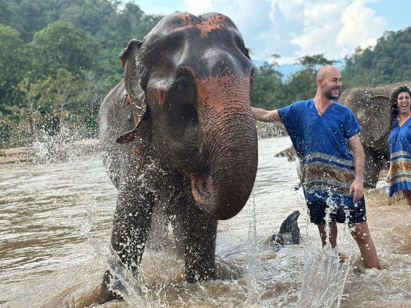 Chiang Mai: Elephant Sanctuary, Long Neck & Sticky Waterfall - Long Neck Village: Karen culture, refugee context, and how to engage well