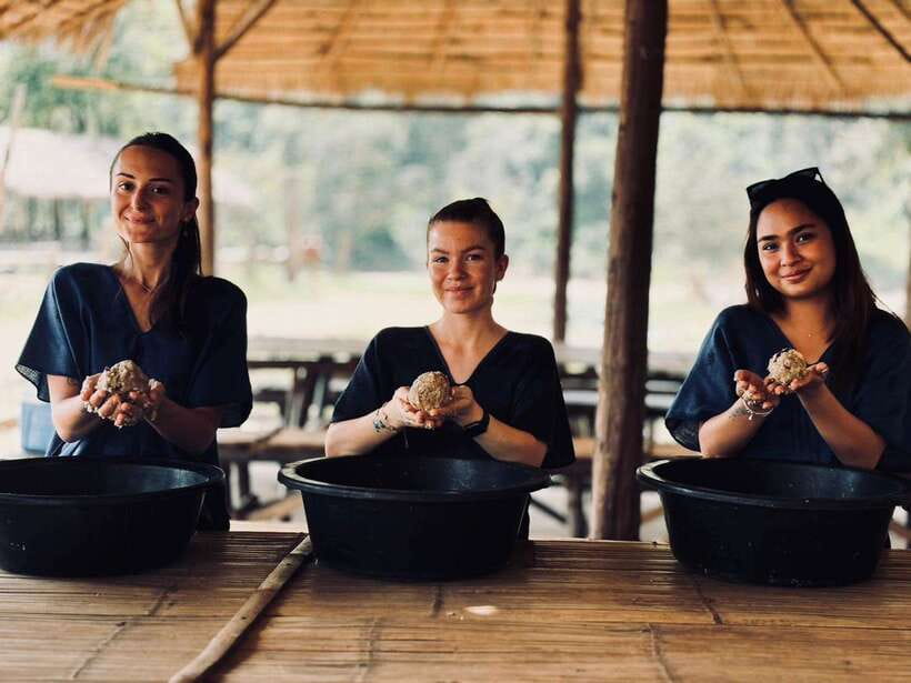 Chiang Mai: Elephant Sanctuary, Long Neck & Sticky Waterfall - Buatong Sticky Waterfall: why it’s fun and how to climb safely