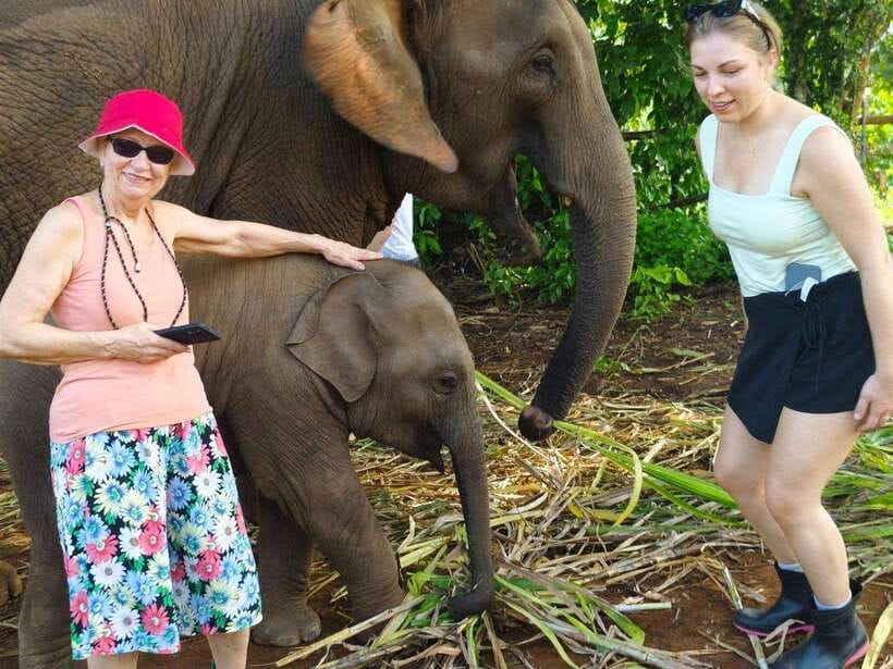 Chiang Mai: Elephant Sanctuary, Monk Trail & Doi Suthep Tour - Wat Phra That Doi Suthep: a guided temple visit that teaches you where to stand