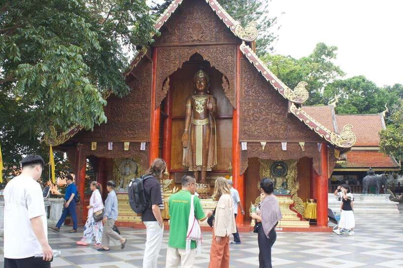 Chiang Mai: Elephant Sanctuary, Monk Trail & Doi Suthep Tour - Pon Elephant Thailand (Mae Wang): feeding, walking, medicine balls, and river bathing
