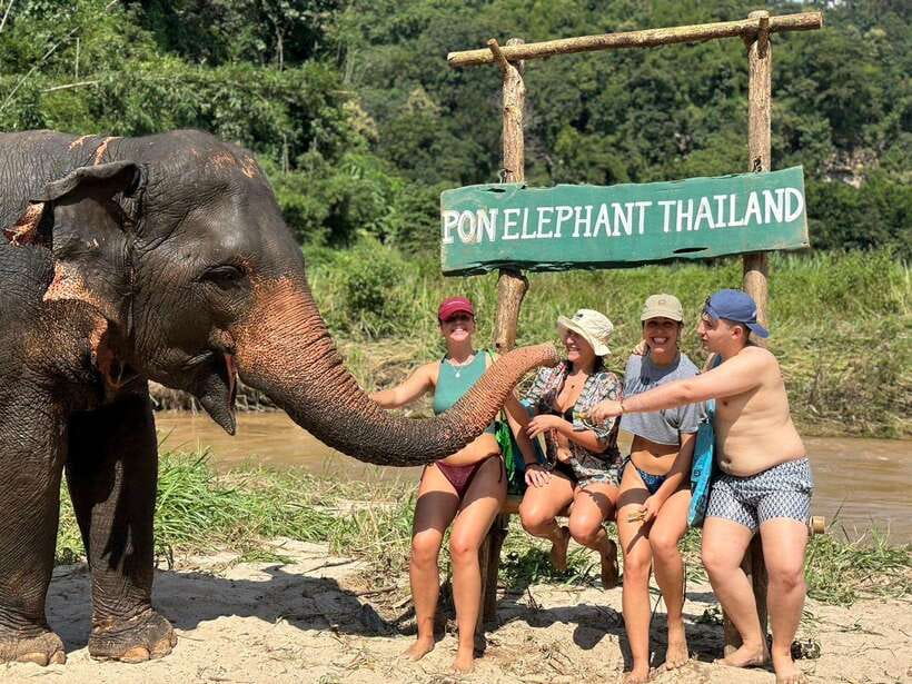 Chiang Mai: Elephant Sanctuary, Waterfall & Bamboo Rafting - Pon Elephant Thailand: meeting the rescued elephants with context